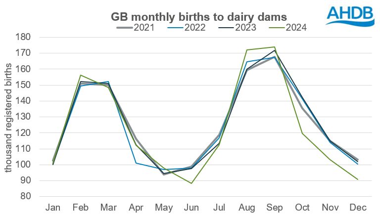 Monthly births to dairy dams